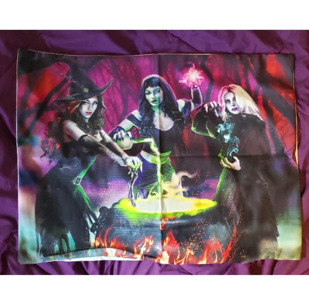 Halloween witch themed pillow case